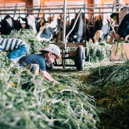 Bauernhofferien Oberduernberg Vakantieboerderij Seekirchen am Wallersee