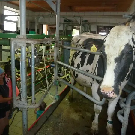 Bauernhofferien Oberdürnberg Bauernhof Seekirchen am Wallersee