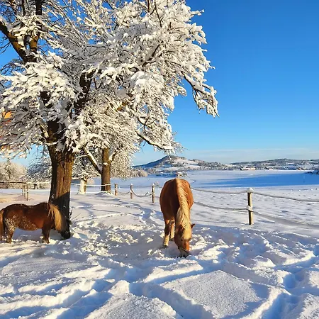 Bauernhofferien Oberduernberg Feriegård